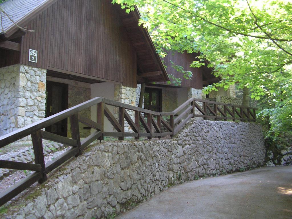 Campsite Camping Pivka Jama 2*