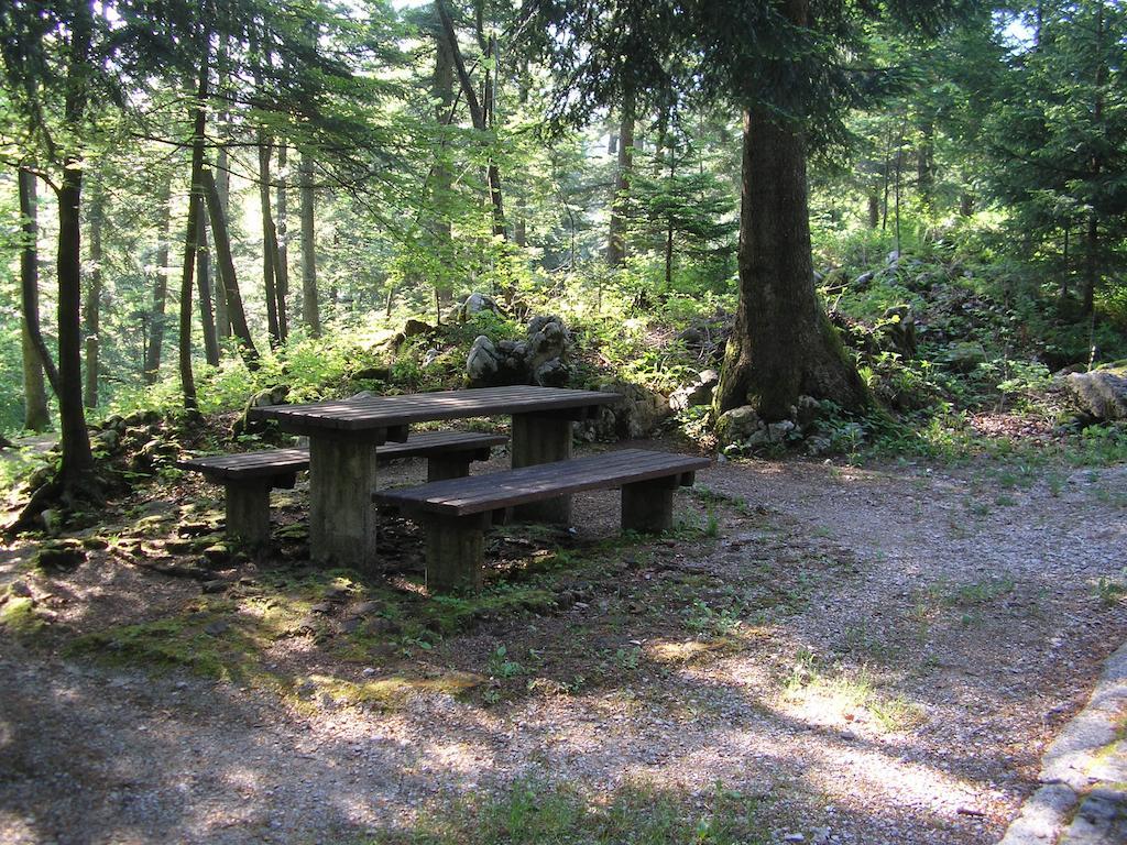 Camping Pivka Jama