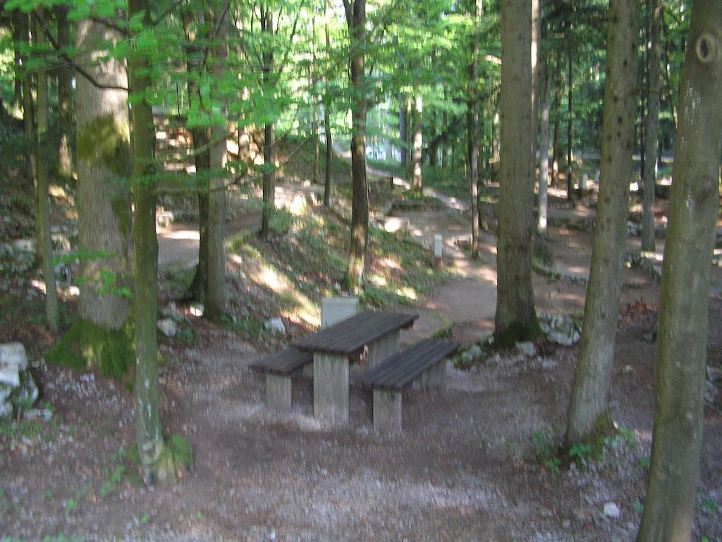 Camping Pivka Jama Campsite Postojna