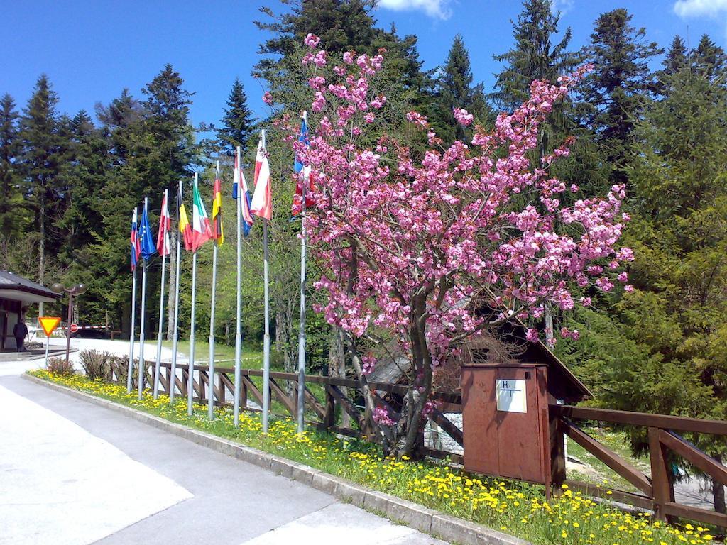 Campsite Camping Pivka Jama Postojna