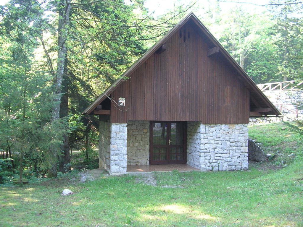 Pivka Jama Postojna